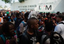 Detectan mas de 11 mdp en anomalías en INM por traslado y alimentación de migrantes