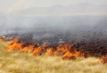 Reportan incendio en predio baldío con pastizal en la 15 de enero