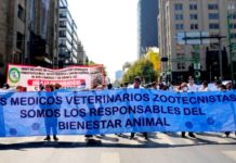 Veterinarios harán paro nacional por ola de violencia en el país mañana