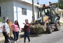 Siguen las acciones para el combate al dengue, la descacharrización será mañana en la Borreguera