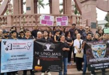 Veterinarios realizan paro nacional, exigen justicia por su compañero asesinado en Tultepec