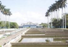 Proyectan reactivar el Centro Acuícola Tancol en la Casa de la Naturaleza con la siembra de lobina