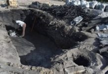 Tamaulipas principales generadores de carbón vegetal