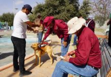 Realizan Brigada Médica Asistencial