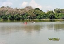 Definen selección tamaulipeca de canotaje durante estatal en Tampico