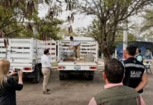 Capacitan a personal de Salud Pública en fumigación para reforzar el programa “Matamoros Seguro”