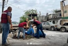 Jornadas de descacharrización