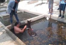 Rescatan a caballito en la Borreguera