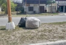 Exhortan a ciudadanía a no tirar barura en las calles