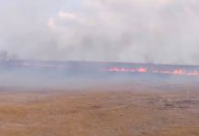 Bomberos acuden a sofocar incendio en pastizal