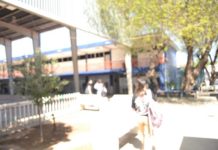 Al titularse de la Facultad de Enfermería, el 60% encuentra trabajo