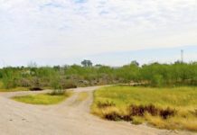 Hallan al parecer restos óseos de persona en apartado sector popular