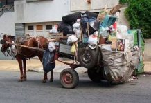 Madero Refuerza Medidas Contra el Abandono y Maltrato de Semovientes