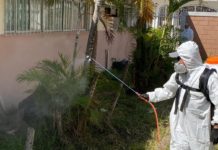 Madero refuerza lucha contra el dengue con recolección de cacharros