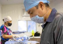 Importante el esterilizar animalitos domésticos sigue campaña