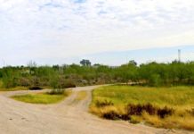 Otra vez colectivos hallan lo que se presume sean restos de humano