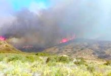 Siguen los reportes de incendios en pastizales que dejaron daños materiales