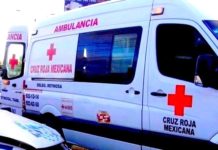 Unidad del transporte público atropella a víctima y se da a la fuga