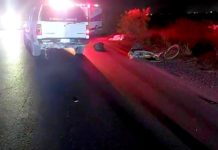 “Viaducto de la Muerte” cobra otra víctima más fue embestida por unidad