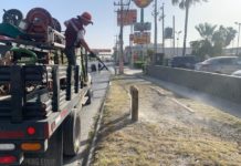 Embellece a Reynosa mantenimiento de infraestructura pública