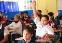 En abril entrará en vigor nueva Ley de Salud en cooperativas escolares