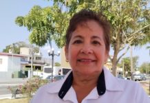 Ante la resistencia de la cepa del dengue cambian el producto para fumigar