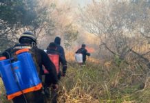 Gobernador exhorta a la población a prevenir incendios