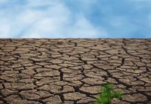 Emergencia climática: Sequía, un complejo escenario para 2025