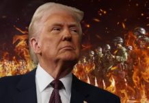 Trump declara la ‘guerra’ a cárteles de la droga: ‘Necesitamos que México y Canadá hagan más’