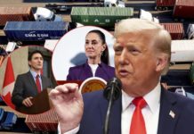 Estos son los estados de México que estarán más afectados por los aranceles impuestos por Trump, según S&P