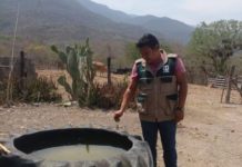 IMSS Tamaulipas promueve acciones para prevenir el dengue