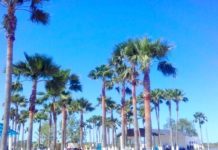 Alistan centro recreativo La Playita para Semana Santa