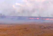 Bomberos acuden a llamados de incendio en pastizales