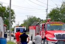 Bomberos acuden a quitar panal de abejas o avispas que ocasionó muerte a una persona