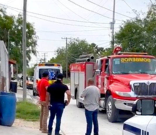 Bomberos acuden a quitar panal de abejas o avispas que ocasionó muerte a una persona