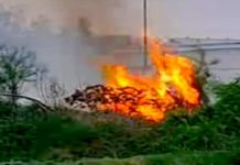 Bomberos acuden a sofocar incendio en pastizal