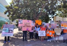 Protectoras de animales exigen castigo ejemplar para agresor de mapaches en Miramar