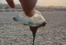 Emiten recomendaciones por presencia de aguas malas en Playa Miramar