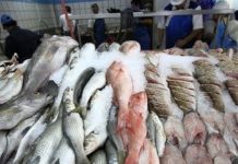 Escasez de pescado en Ciudad Madero por alta demanda durante Semana Santa
