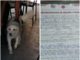 Exhorta Alcalde de Reynosa a dueños cuidar de sus mascotas