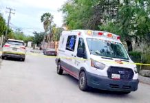 Muere persona y perrito al parecer por lesiones de abeja en colonia popular