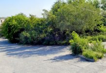 Rateros amagan a su víctima para robarle su unidad y pertenencias