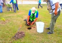 Reforestación es importante para mantener oxigenada la ciudad