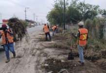 Agilizó Alcalde Carlos Peña Ortiz acciones de limpieza y descacharrización en colonias