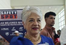 300 casos de hombres golpeados se han registrado en el país: María de Lourdes Domínguez.