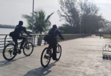 Exhortan a visitantes a no acercarse a cocodrilos