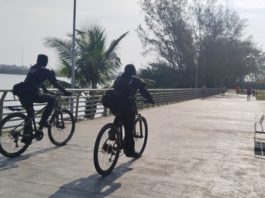 Exhortan a visitantes a no acercarse a cocodrilos