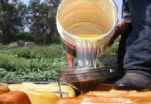 COPARMEX se pronuncia porque continue el combate al tráfico ilegal de hidrocarburos