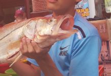 Abarrotan el Mercado de Pescados y Mariscos “la Puntilla”