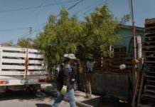 Realizan Jornada de saneamiento en colonia la Joya